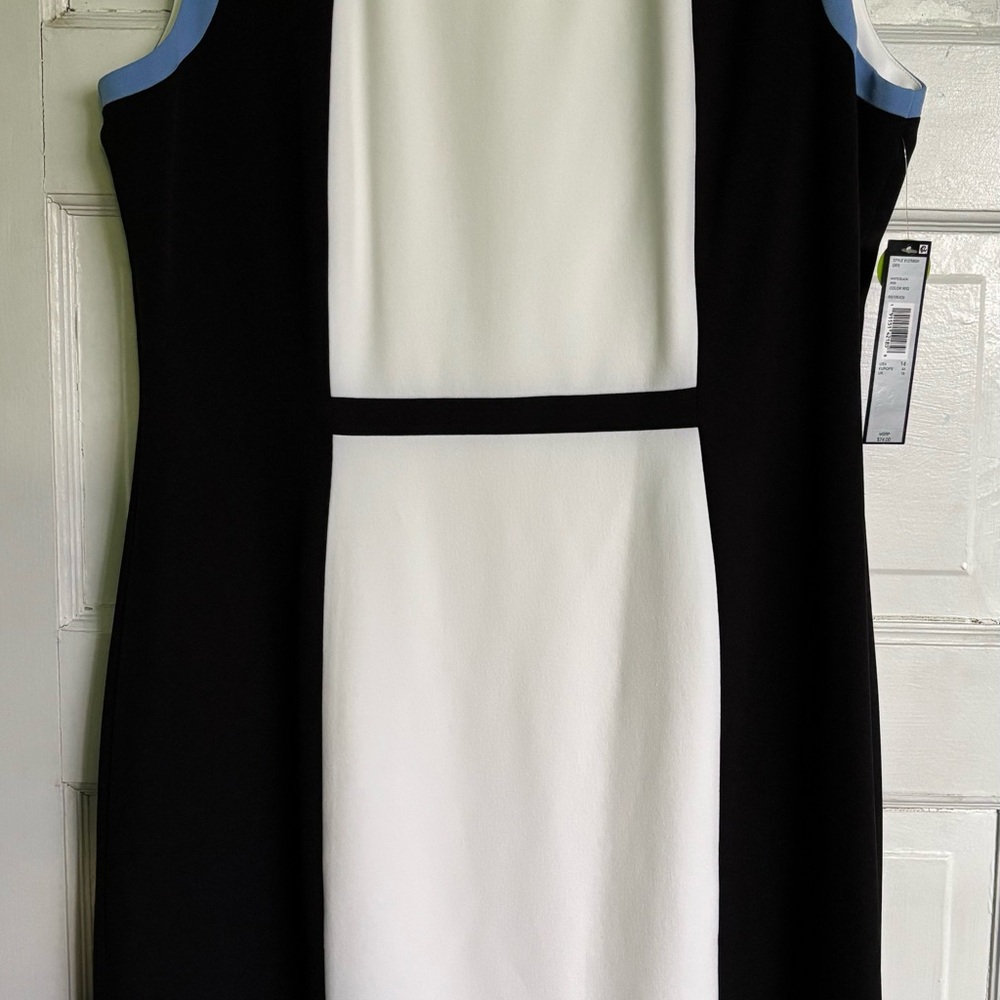 Elegant Black and White Dress